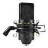 MXL 770 Condenser Microphone for Podcasting, Singing, Home Studio Recording, Gaming & Streaming | XLR | Large Diaphragm | Cardiod (Black) view 1