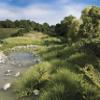 Clump Foliage 57.7 Cubic Inches-Medium Green view 2