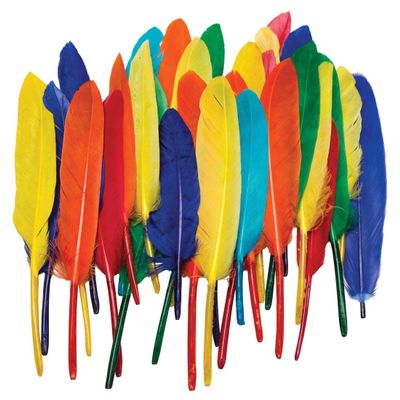 Duck Quill Feathers - Bright Color Assortments