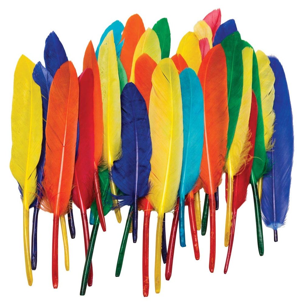 Duck Quill Feathers - Bright Color Assortments