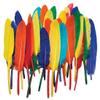 Duck Quill Feathers - Bright Color Assortments view 1