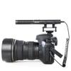 Azden High-performance (SMX-10) Stereo Condenser Microphone view 2