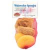 Watercolor Sponges 6/Pkg view 1