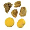 Watercolor Sponges 6/Pkg view 2