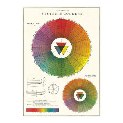 Cavallini Decorative Wrap Poster, Color Wheel, 20 x 28 inch Italian Archival Paper (WRAPCW)