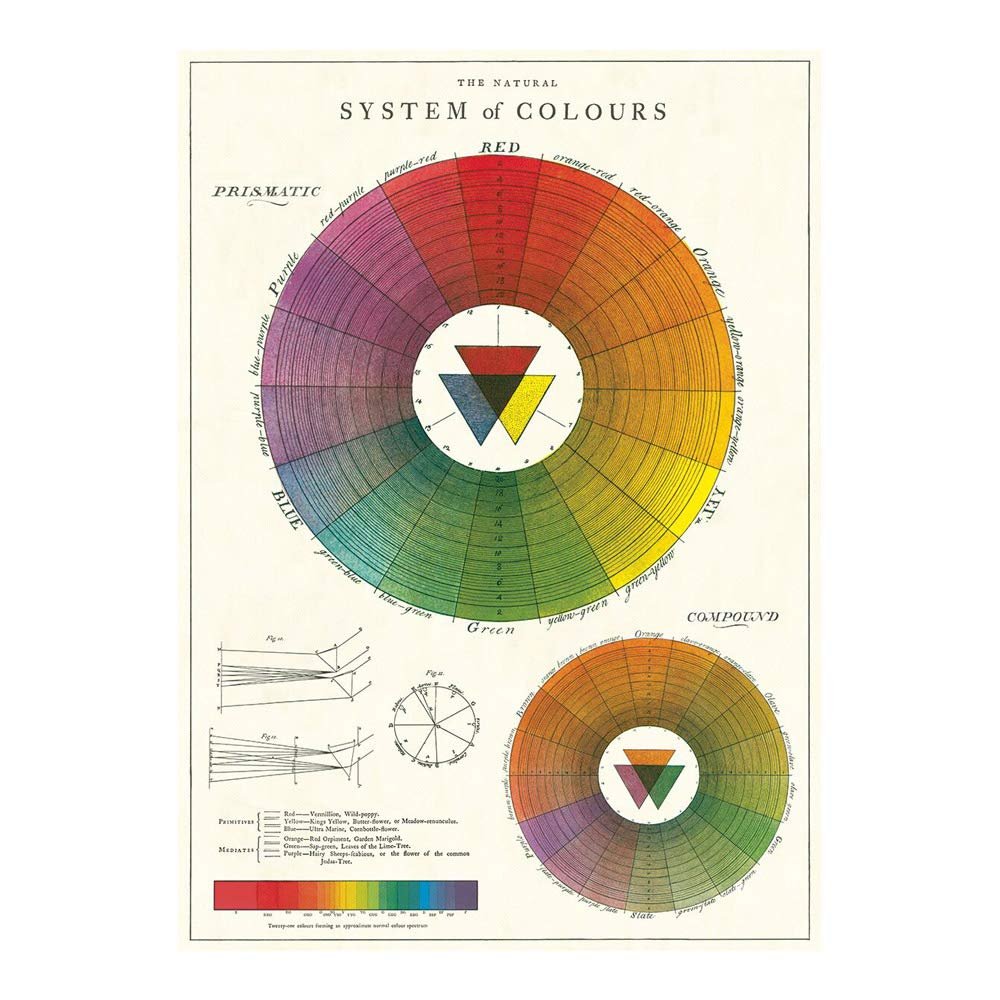 Cavallini Decorative Wrap Poster, Color Wheel, 20 x 28 inch Italian Archival Paper (WRAPCW)