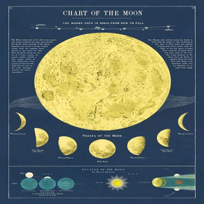 Cavallini & Co. Decorative Wrap Poster, Moon Chart, 20 x 28 inch Italian Archival Paper (WRAP/MOONCHT)