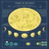 Cavallini & Co. Decorative Wrap Poster, Moon Chart, 20 x 28 inch Italian Archival Paper (WRAP/MOONCHT) view 1