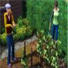 The Sims 3 - PC view 2