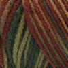 Red Heart Super Saver Yarn - Fall view 2