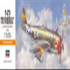 Hasegawa 1:72 Scale P-47D Thunderbolt Model Kit view 3