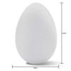 FloraCraft CraftFM Egg 3.8 Inch x 5.6 Inch White view 2