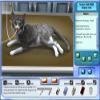 Pet Pals: New Leash on Life - PC view 2