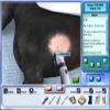 Pet Pals: New Leash on Life - PC view 3