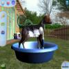 Pet Pals: New Leash on Life - PC view 4