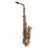 Fever Beginner Student Alto Saxophone Gold with Case, Mouthpiece and Reed view 1