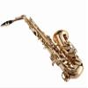 Fever Beginner Student Alto Saxophone Gold with Case, Mouthpiece and Reed view 2