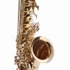 Fever Beginner Student Alto Saxophone Gold with Case, Mouthpiece and Reed view 3