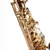 Fever Beginner Student Alto Saxophone Gold with Case, Mouthpiece and Reed view 4