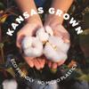 Grown in the USA Raw Cotton Stuffing/Batting. (5lb) view 2