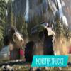The Crew Wild Run Edition - PlayStation 4 view 2