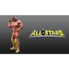 WWE All Stars - Nintendo Wii view 4