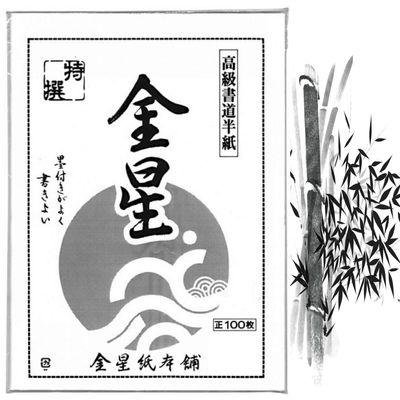 JapanBargain, Calligraphy Rice Paper 100 Sheets, Japanese Chinese Brush Painting and Sumi Ink Practice Paper, Premium Shodo Paper for Ink Wash and Stamping Art, 11"x13", Made in Japan