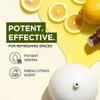 100% Pure Lemon Essential Oil - 0.34 Fl Oz - Lemon Oil for Hair, Skin, Diffuser, Aromatherapy & DIY Candle Making Scent view 3