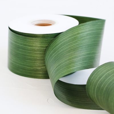 Party Spin Ti Leaf Aspidistra Variegated Ribbon, Solid Green, 4-inch, 50-Yard