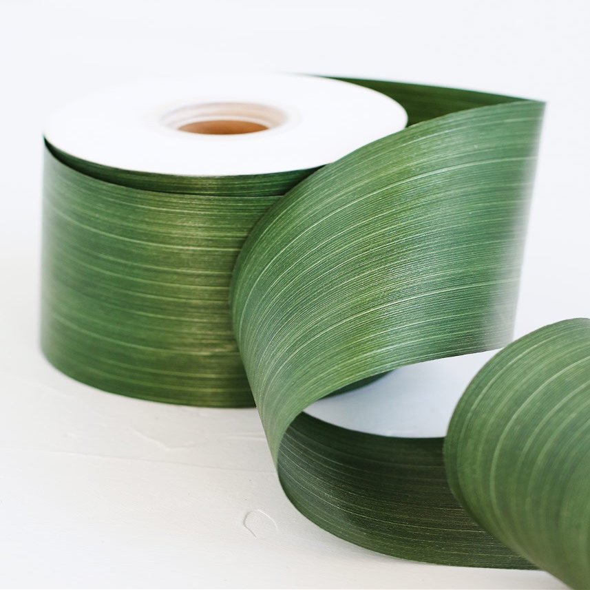 Party Spin Ti Leaf Aspidistra Variegated Ribbon, Solid Green, 4-inch, 50-Yard