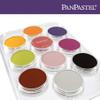 PanPastel Artist Pastels by Golden, 10 Color Palette Tray, Professional Artist Pastels view 4