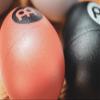 Meinl Percussion Egg Shakers NOT MADE IN CHINA 4-Piece Musical Hand Shaker Set with 4 Volume Levels view 2