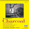 Strathmore 300 Series Charcoal Paper Pad, Top Wire Bound, 9x12 inches, 32 Sheets (64lb/95g) - Artist Paper for Adults and Students - Charcoal and Pastel view 1