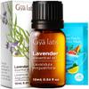 100% Pure Lavender Essential Oil - 0.34 Fl Oz - Lavender Oil for Hair, Skin, Diffuser, Aromatherapy & DIY Candle Making Scent view 1
