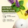 100% Pure Patchouli Essential Oil - 0.34 Fl Oz - Patchouli Oil for Hair, Skin, Diffuser, Aromatherapy & DIY Candle Making Scent view 3