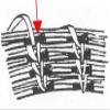 Traditional Craft Kits Coiled Pine Needle Basket Weaving Kit Professional DIY Basket Making Supplies Includes Natural Pine Needles, Raffia, Stitching Needle, and Coiling Gauge view 3