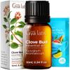 100% Pure Clove Essential Oil - 0.34 Fl Oz - Clove Oil for Hair, Skin, Diffuser, Aromatherapy & DIY Candle Making Scent view 1