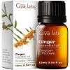 100% Pure Ginger Essential Oil - 0.34 Fl Oz - Ginger Oil for Hair, Skin, Diffuser, Aromatherapy & DIY Candle Making Scent view 1