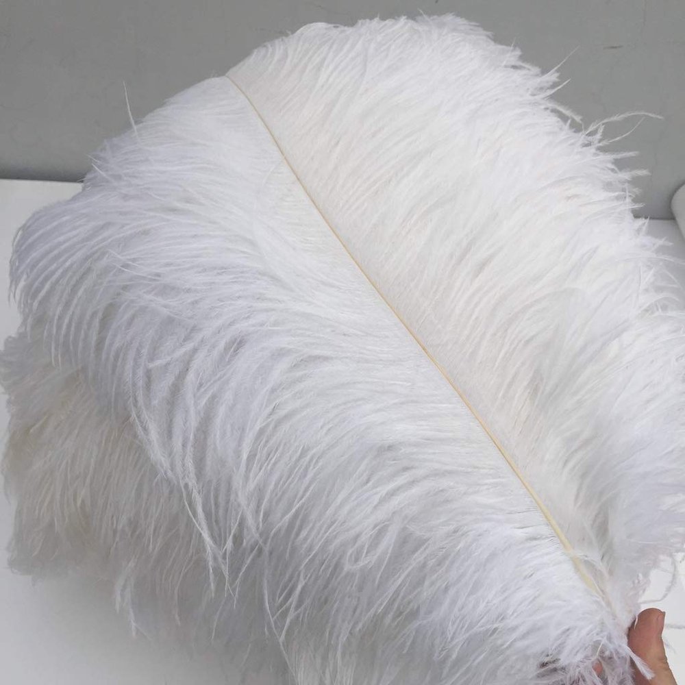 Shekyeon White 16-18inch Ostrich Feathers DIY Craft Large Feather for Wedding Party Centerpicecs Flower Arrangement and Easter Gatsbi Decortion Pack of 10