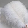 Shekyeon White 16-18inch Ostrich Feathers DIY Craft Large Feather for Wedding Party Centerpicecs Flower Arrangement and Easter Gatsbi Decortion Pack of 10 view 1