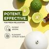 100% Pure Bergamot Essential Oil - 0.34 Fl Oz - Bergamot Oil for Hair, Skin, Diffuser, Aromatherapy & DIY Candle Making Scent view 3