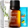 100% Pure Thyme Essential Oil - 0.34 Fl Oz - Thyme Oil for Hair, Skin, Diffuser, Aromatherapy & DIY Candle Making Scent view 1