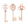 Aokbean Mixed Set of 30 Large Skeleton Keys in Rose Gold - Set of 30 Keys view 1