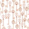 Aokbean Mixed Set of 30 Large Skeleton Keys in Rose Gold - Set of 30 Keys view 3