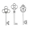 Aokbean Mixed Set of 30 Large Skeleton Keys in Antique Silver - Set of 30 Keys view 1