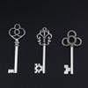 Aokbean Mixed Set of 30 Large Skeleton Keys in Antique Silver - Set of 30 Keys view 2
