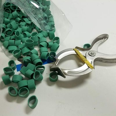 Standard/Shipper Lobster Claw Bands and Claw Band Tool Kit. 1 LB Bag (About 350 PCS.), Green