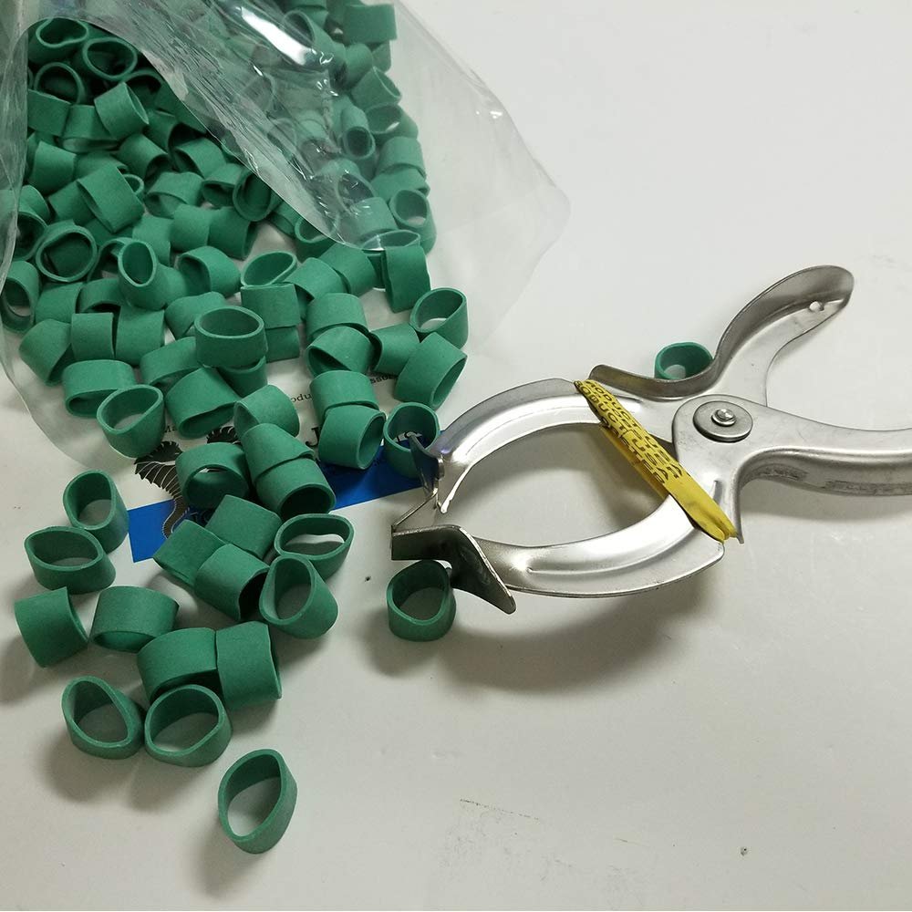 Standard/Shipper Lobster Claw Bands and Claw Band Tool Kit. 1 LB Bag (About 350 PCS.), Green