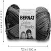 Bernat Softee Chunky Ombre Yarn, 2.5 oz, Gauge 5 Bulky Chunky, 100% Acrylic, School Yard view 3