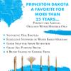 Princeton Dakota Flat Brush, Synthetic, Long Handle, Size 8, 1 Count view 2